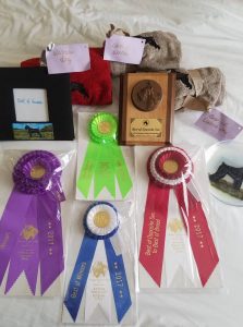 A giant Schnauzer breeder's awards and puppies